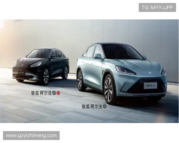 上海攀岩队在耐力赛中的精彩表现与未来发展展望 上海攀岩队在耐力赛中的精彩表现与未来发展展望