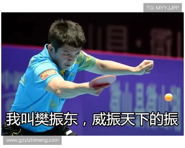 杨娜亲授乒乓球技巧与心得体会助你提升球技的秘密分享