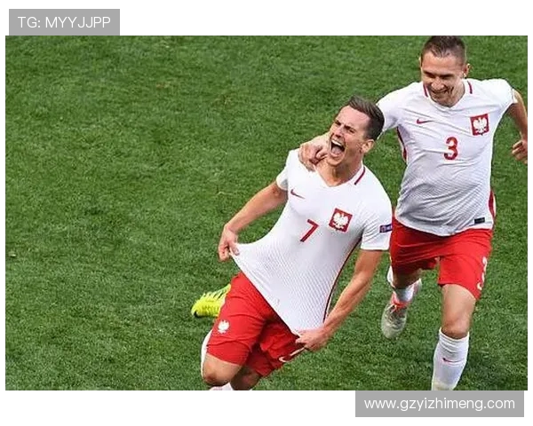 波兰与爱尔兰足球对决精彩视频回顾与精彩瞬间分析 波兰与爱尔兰足球对决精彩视频回顾与精彩瞬间分析