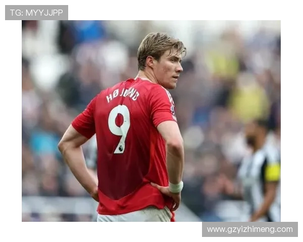 霍伊伦的传奇人生：从平凡到卓越的奋斗历程与启示