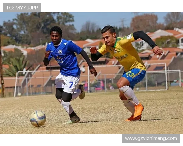 南京乒乓球队边路渗透革新探讨与战术解析全景呈现