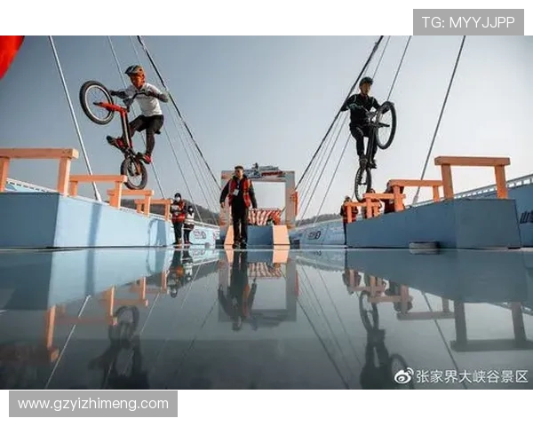 南京极限运动队与杭州极限运动队赛后战术分析与复盘探讨