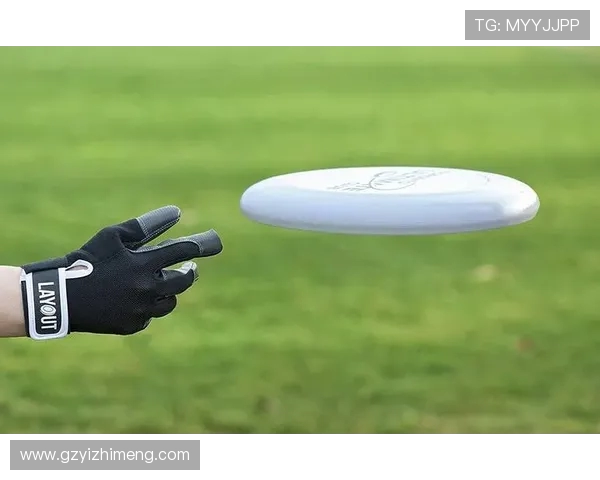 广州飞盘队的阵地战体系探索与飞盘战术的创新实践