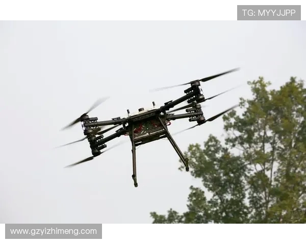 极限运动新手指南：从零起步掌握比赛技巧与经验分享