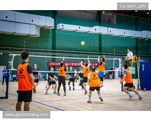 科学排球训练新方法：提升节奏感与团队配合的有效策略