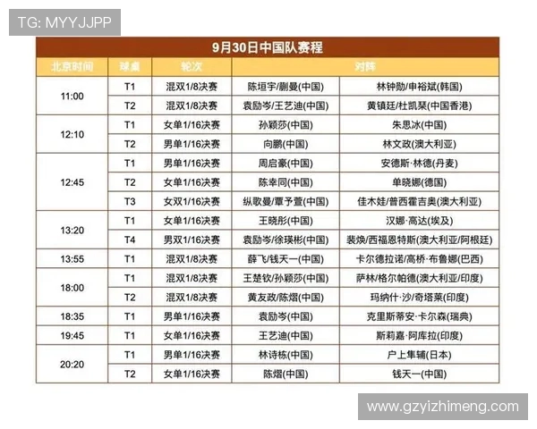 北京排球队大满贯点评：团队配合展现实力与默契的完美结合